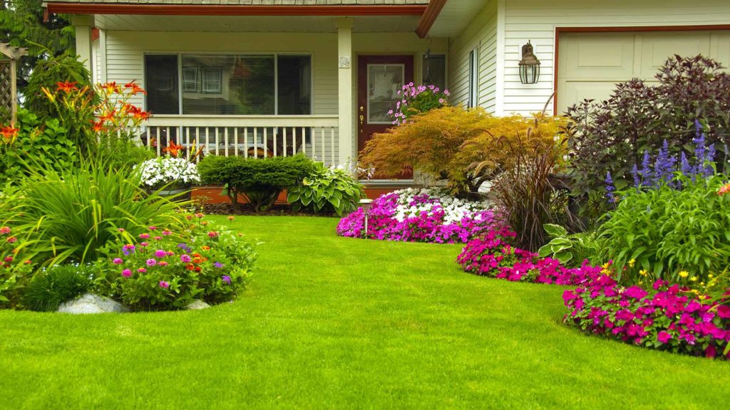 lush green front yard with flowers lubbock tx