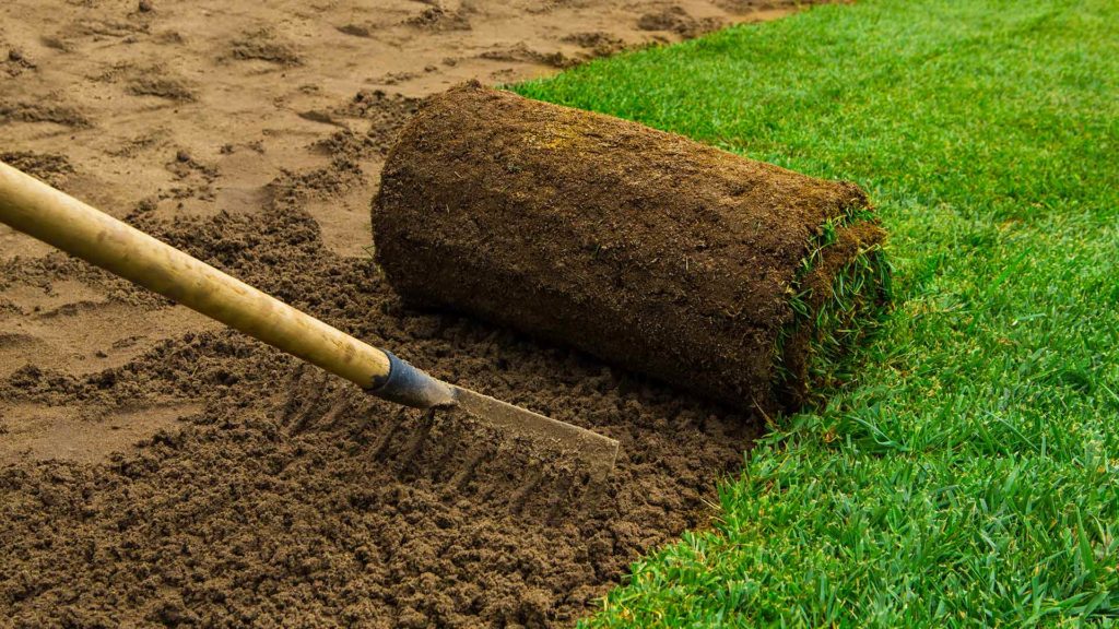 sod being installed lubbock tx