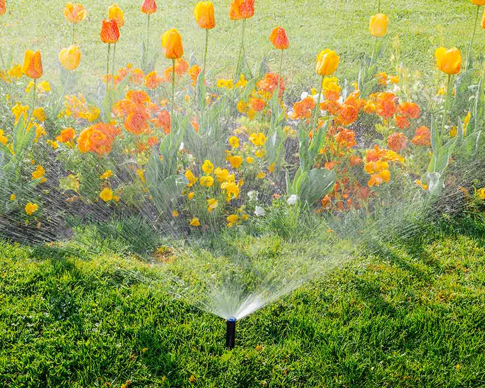 sprinkler near flowers lubbock tx