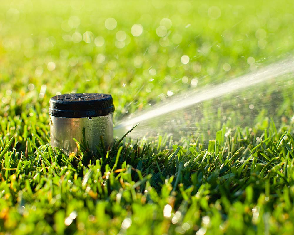 underground sprinkler head spraying grass in lubbock tx