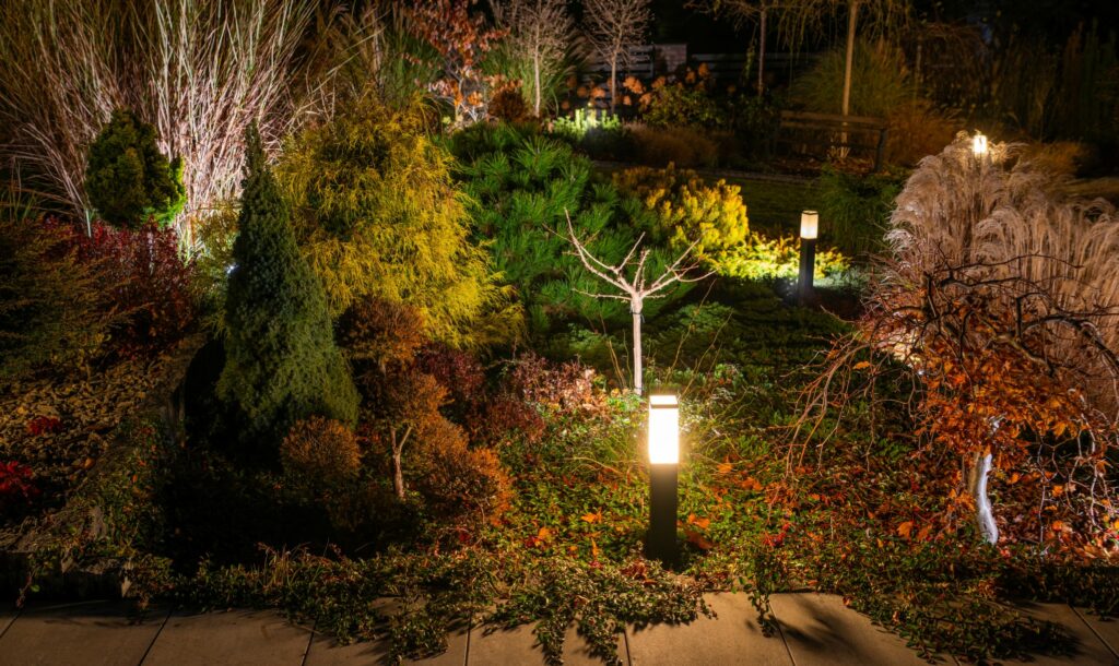 illuminated garden by led lights landscape at nigh 2024 11 19 21 10 49 utc - Outdoor lighting installation and maintenance