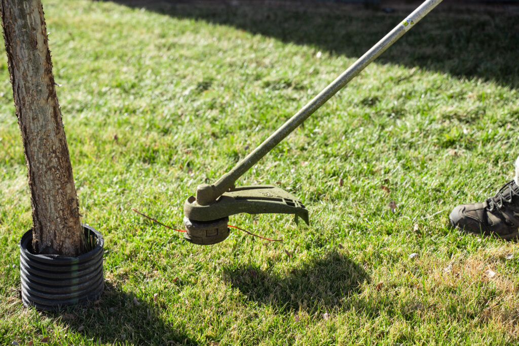 Commercial Lawn Care