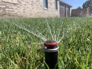 Slow release fertilizer and fertilizer care