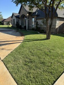 Grass Types in Texas - professional lawn care