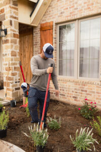 732A8468 - Essential summer lawn care tips