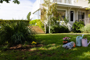 Watering cans with flower pots and dirt on grassy land in yard outside house. Unaltered, gardening, organic and nature concept.