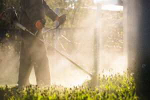 Lawn mover on green grass. Machine for cutting lawns. - How do weed killers work?