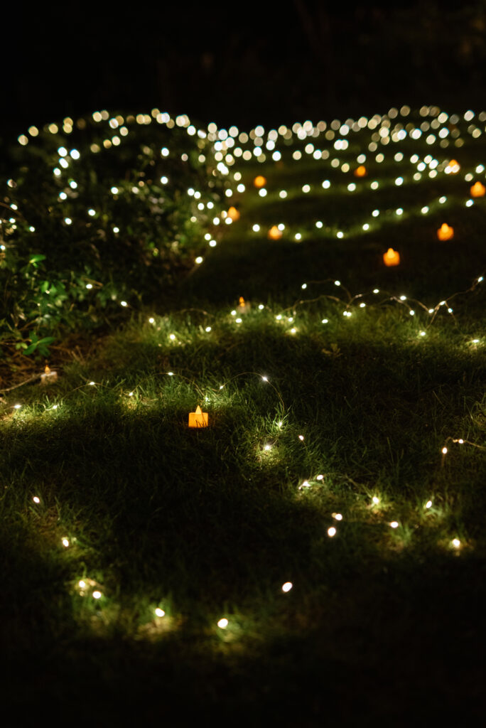 colored blurred bokeh christmas garlands
