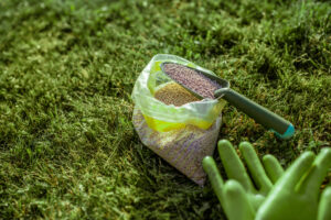 Pre-emergent fertilizer granules in a scoop beside gardening gloves on a green lawn, representing professional Lubbock landscaping weed prevention services.