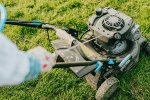 spring lawn care lubbock tx
