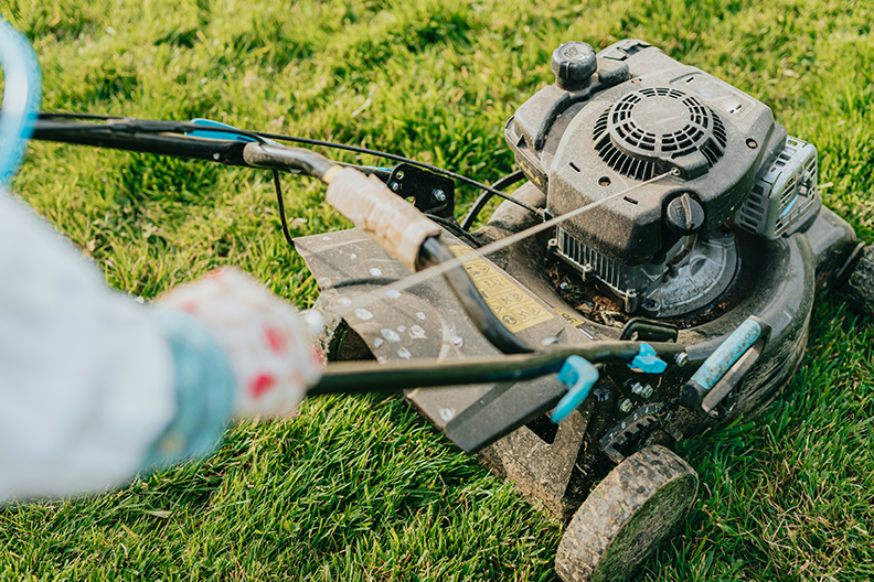 spring lawn care lubbock tx