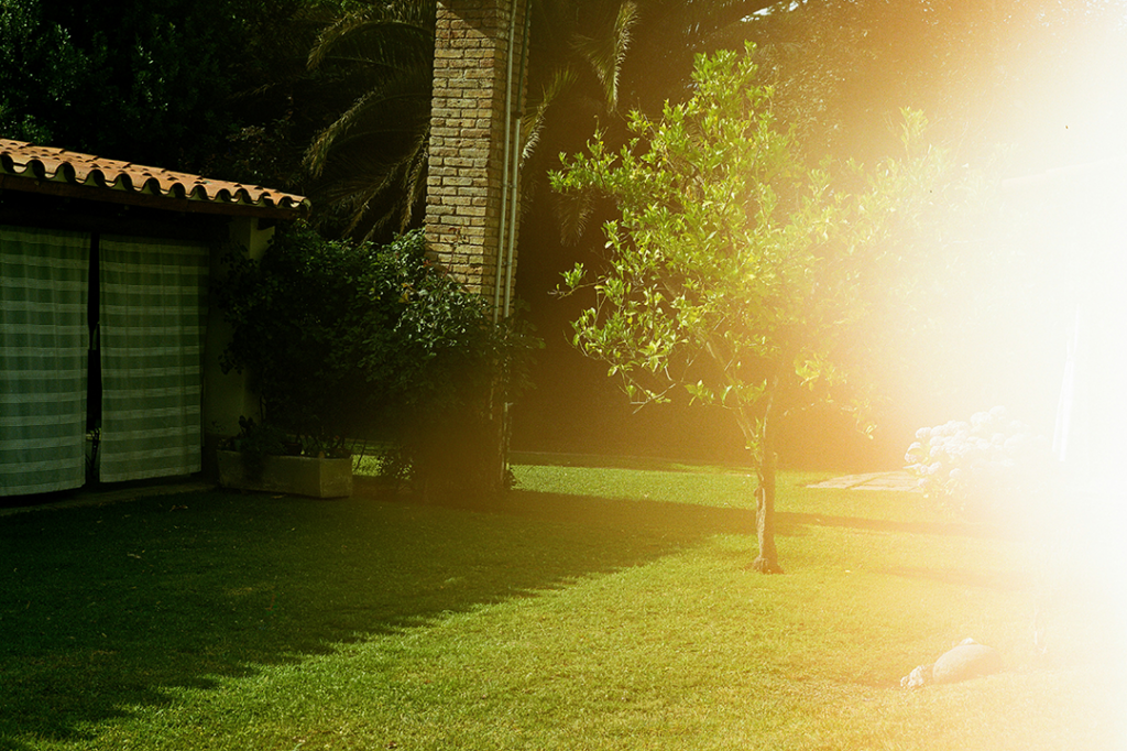 lawn care lubbock summer