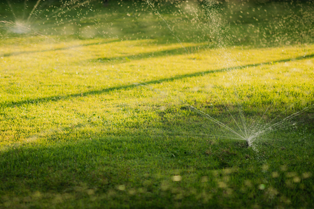sprinkler system lubbock summer