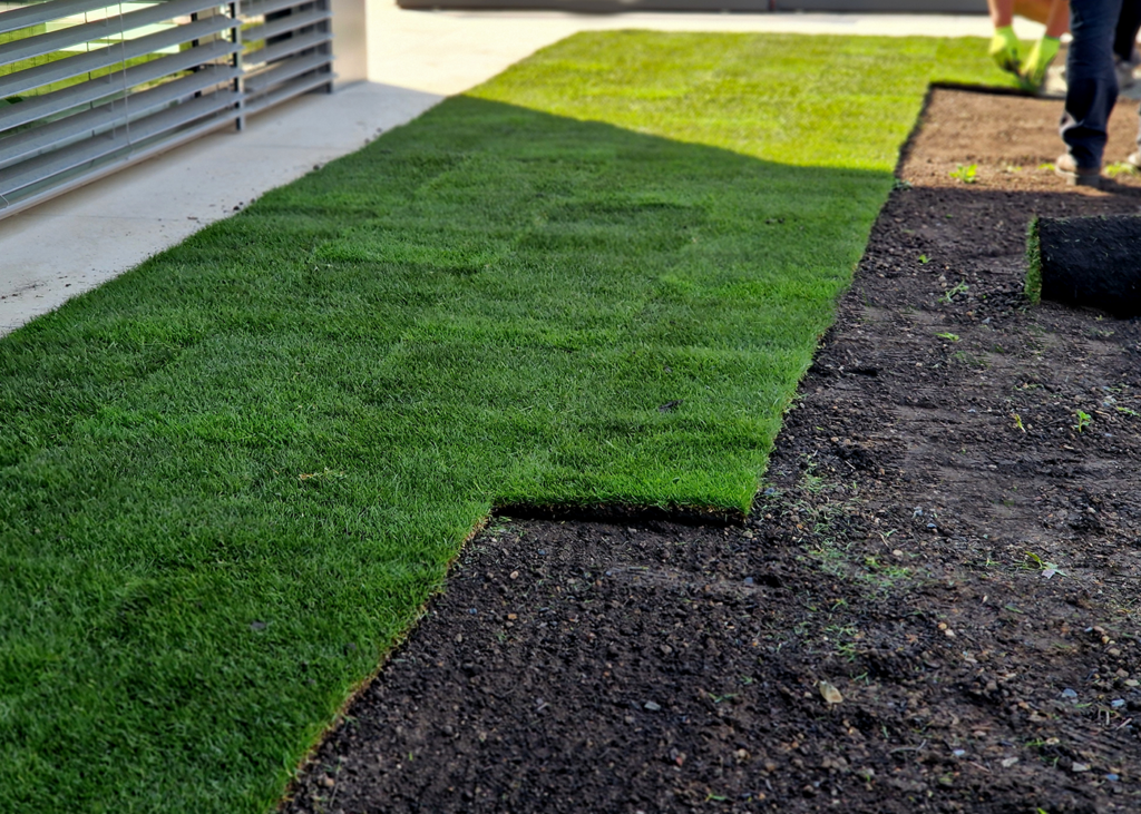Turf lubbock