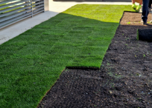 Turf lubbock