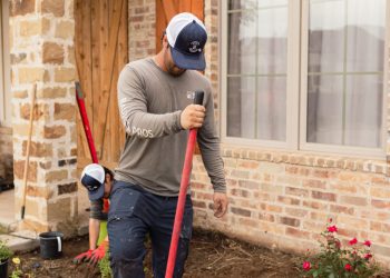 732A8468 - Essential summer lawn care tips