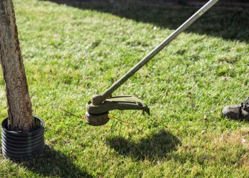 Commercial Lawn Care