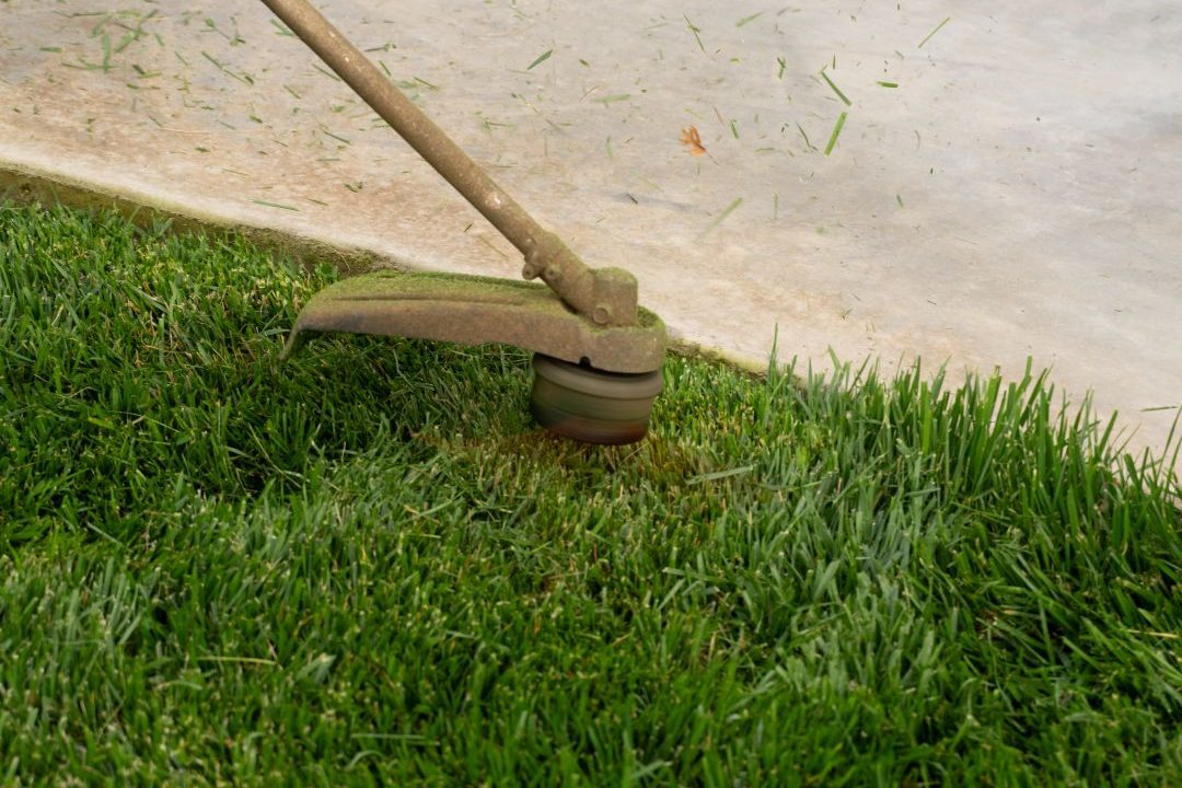 DSC09471 Lubbock Lawn Care