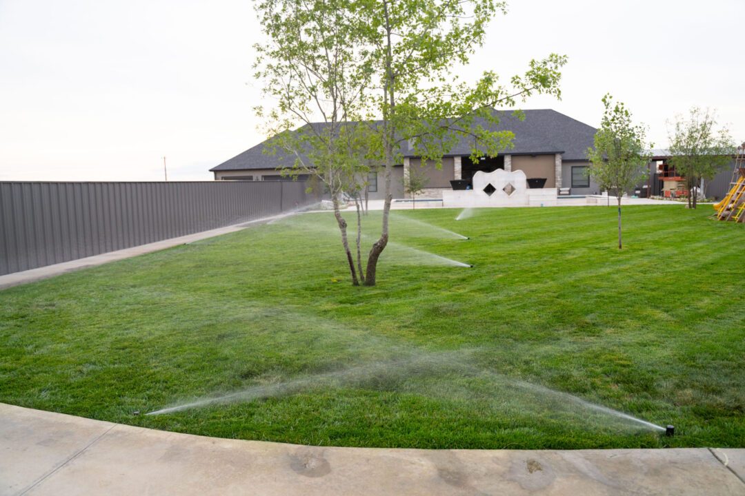DSC09612 Watering Days in Lubbock