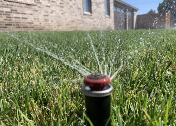 Slow release fertilizer and fertilizer care