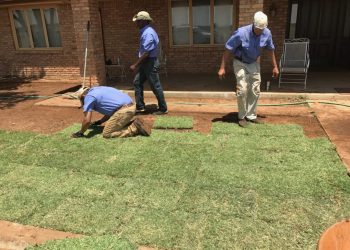 Artificial Turf Installation vs Sod Installation : Best Sod for Lawn Success