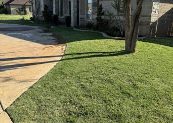 Grass Types in Texas - professional lawn care