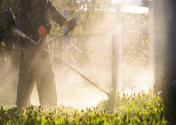 Lawn mover on green grass. Machine for cutting lawns. - How do weed killers work?