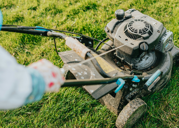 spring lawn care lubbock tx