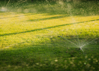 sprinkler system lubbock summer